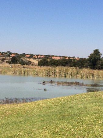 Koro Creek Bushveld Golf Estate