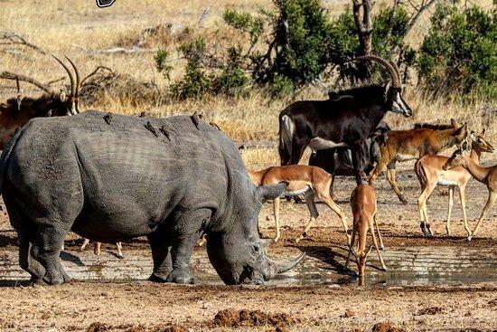Vumbua Tours and Safaris