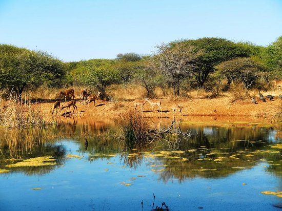 Polokwane Game Reserve